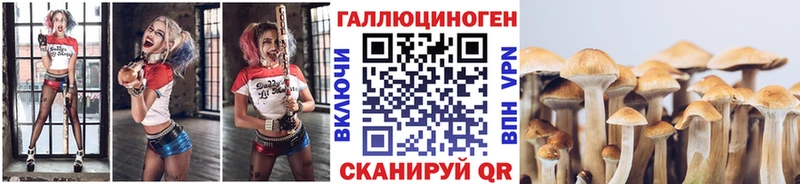 Псилоцибиновые грибы мухоморы Сенгилей