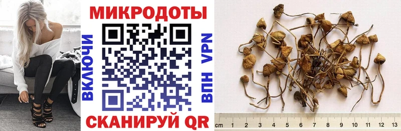 Псилоцибиновые грибы MAGIC MUSHROOMS  Сенгилей 