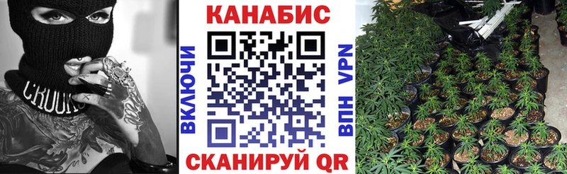 Каннабис Bruce Banner  где можно купить   сайты даркнета телеграм  Сенгилей 